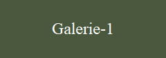 Galerie-1