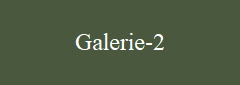 Galerie-2
