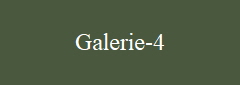 Galerie-4