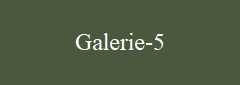 Galerie-5